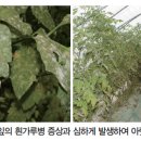 (주)그린아그로 이미지