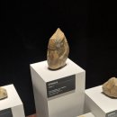 불국로(남) | 경주 一週