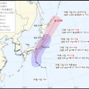 제8호 태풍 메아리…광복절 연휴 日 도쿄 상륙 이미지