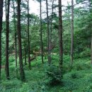 용인자연휴양림4 이미지