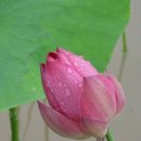 한국농업연수원 이미지