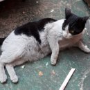 맡겨보개 이미지