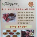 브리코어린이건축교실 이미지