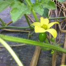 우무실하우스 이미지