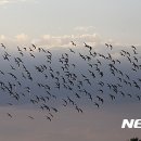 김제앵글 이미지