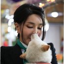 댕댕이와냥이 이미지