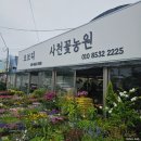 진호농원 | 오브디 사천꽃농원, 경남 사천 화훼 단지 방문 후기