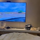 에덴마트 | 경기도 이천 에덴파라다이스 호텔 | 서울 근교 가볍게 묵기 좋은 가성비 호텔 내돈내산 후기