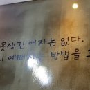 에코&필스킨