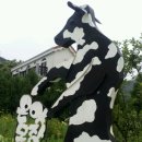 은하목장 이미지