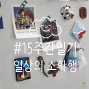 거북이세차나라 | 기념품, 스타벅스 알람시계, 다이소 선물포장, 은행투어, 엘리멘탈, 인생도서추천, 자취생집밥, 셀프세차 )