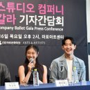 메인컴퍼니 뉴시스