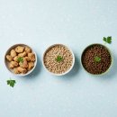 신진슈퍼문구 | 눈물·알레르기 고민 해결을 위한 최신 맞춤형 사료 트렌드