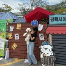 평남로 | [평택 펫크닉 놀러오개냥] 평택 반려동물 인식개선 문화 페스티벌 방문 후기