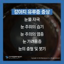 우리동물메디컬센터 이미지