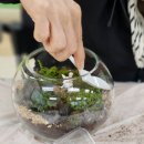 김포시북부노인복지관 | 김포시북부노인복지관 테라리움 출강 (김포테라리움,김포원예강사 김포원예출강)