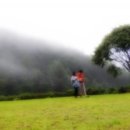 석양 속 생명의 날 이미지