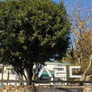 사림동123 이미지