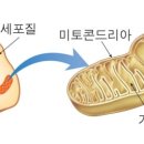 플러스버닝 퍼스널트레이닝 이미지