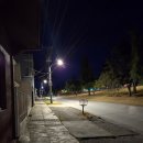 바나나사자 | [Day21_푼타 아레나스] 막달레나 섬 펭귄 투어+마르따 섬 바다사자/무도 신라면집/발마사지