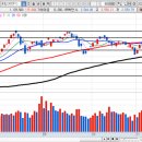 메가제너럴에셋 주식회사 | 2020년 11월 20일(금) 시장종합/마감시황
