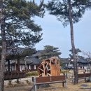 강릉 오죽한옥마을 고급형 복층 이용후기