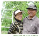 선원농장 이미지