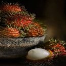 ==[ 신기(神奇)한 과일 BEST 10] 람부탄,두리안,부처손,용과,살락,스타애플, 이미지