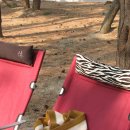 대천해수욕장 야영장 이미지