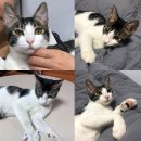 강남사우나 이미지