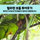 녹색농장 | 필리핀 보홀 투어후기&amp;추천코스 _로복강/나비농장/안경원숭이/짚라인/초콜릿힐 코스 ⛰️