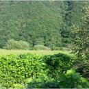 뉴설악펜션 이미지