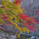 유치자연휴양림 이미지