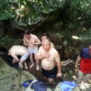 최근호 Daum카페
