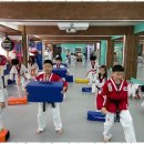 햇살태권도 이미지