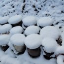 항아리농장 이미지