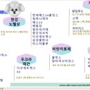 예스컴퍼니 이미지