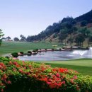 신안 퍼블릭 CC 이미지