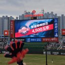 연투데이 | 250405-06 vs 두산 주말시리즈 직관 : 132블럭 시야, 레드데이 동백유니폼, 먹거리 후기