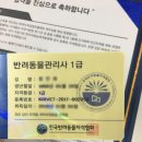 한국반려동물교육원 이미지