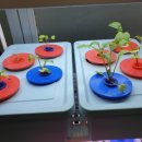 숙경농장 이미지