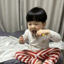 파리바게트대전 - 동구 우암로 332-1 | 파리바게트대전