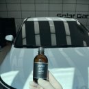 황금카모터스 이미지