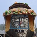 박산옥곤드레떡방&카페