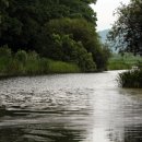 정양늪생명길 이미지