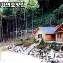 금원산자연휴양림 이미지