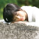 상준농장 이미지