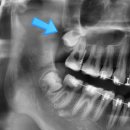 한스치과의원 이미지