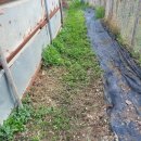 승현농장 이미지