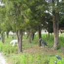 창오초등학교 이미지